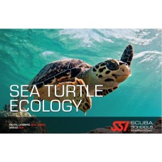 SSI kurs Żółwie Morskie